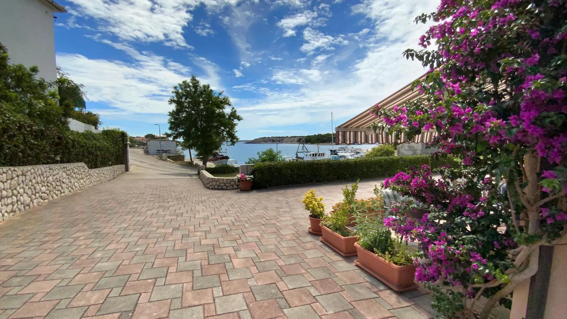 Olive House Apartment Simuni